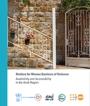 Cover of a report on Shelters for Women Survivors of Violence
