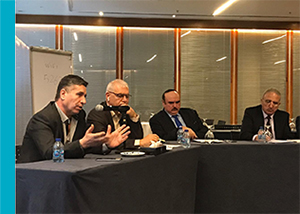 Panelist speaking during ESCWA workshop