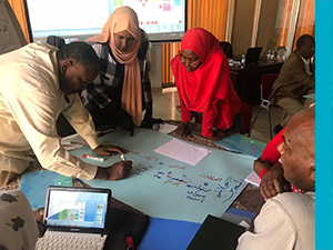 سلاسل القيمة الزراعية في السودان