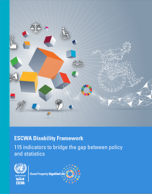 DisabilityFramework