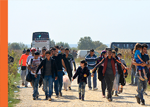 Migration